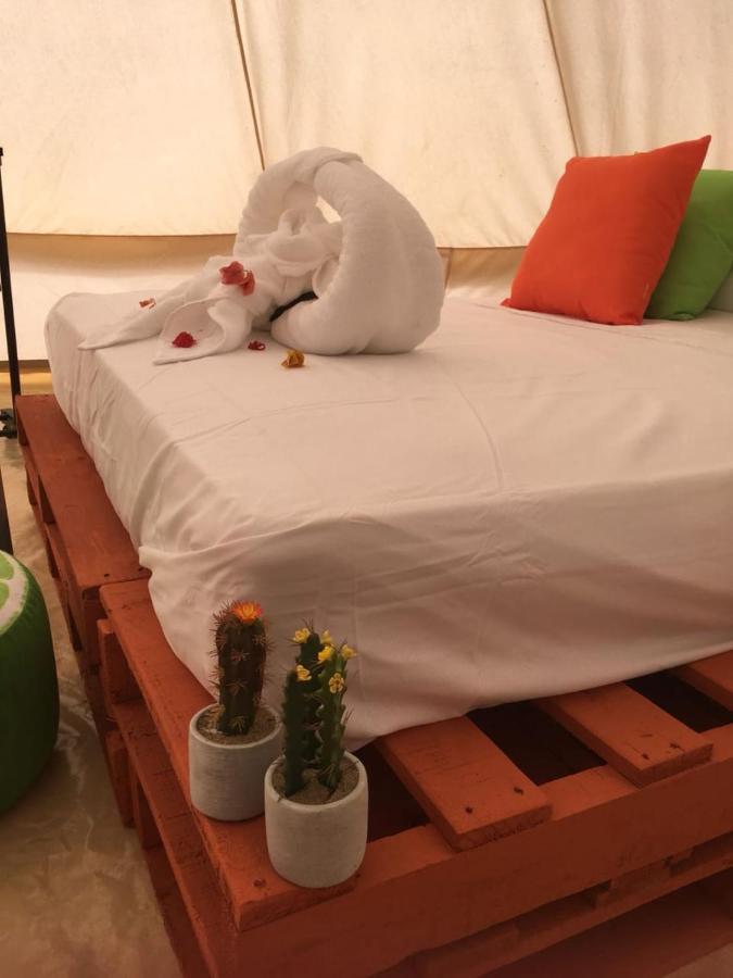 Glamping Due Amici Hotel Palomino Buitenkant foto