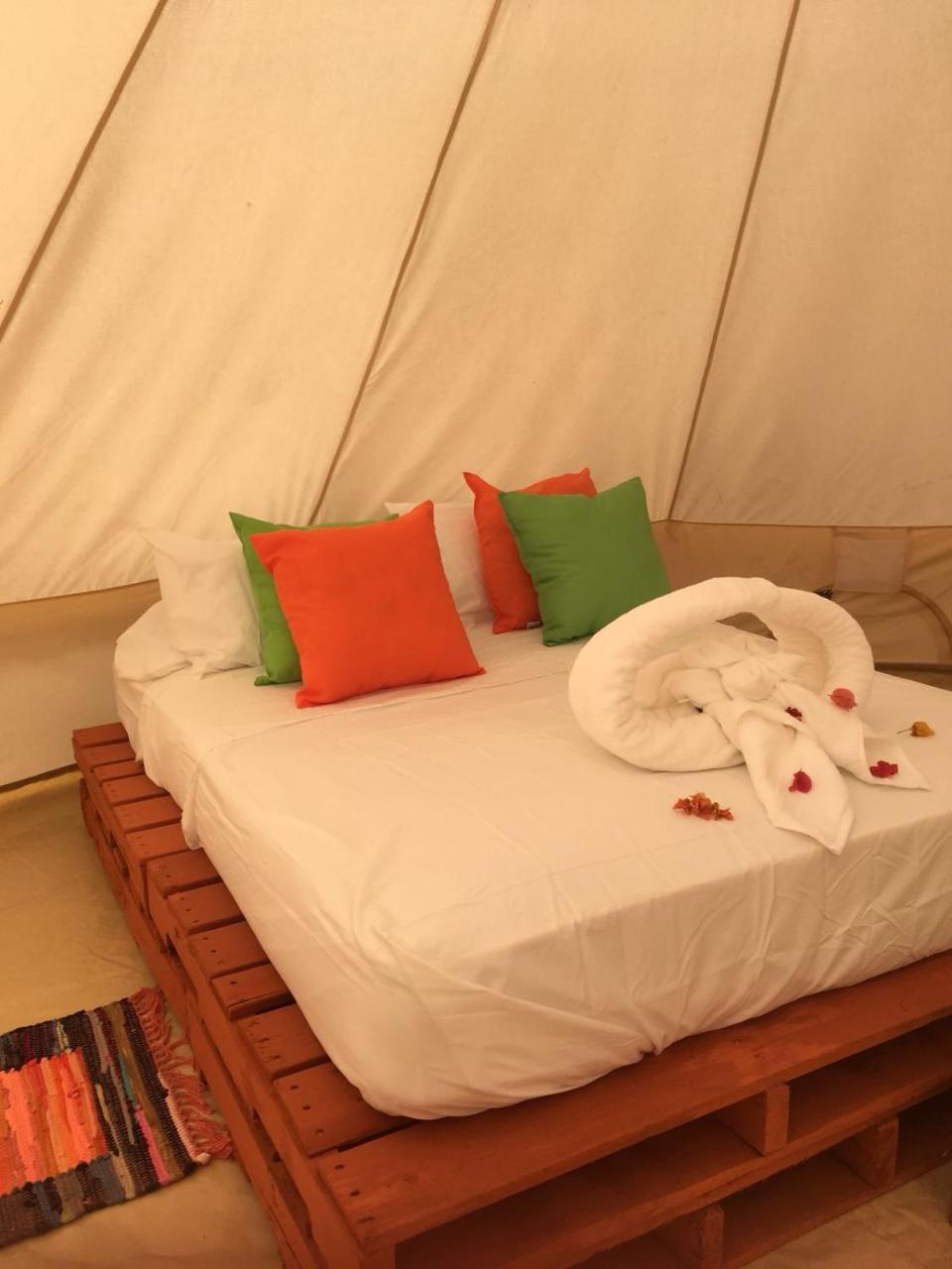 Glamping Due Amici Hotel Palomino Buitenkant foto